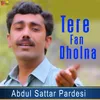 About Tere Fan Dholna Song
