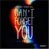 Can't Forget You-Salsa Rmx