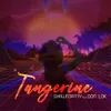 About Tangerine Song