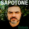 About Sintonia Song