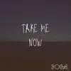 About Take Me Now Song