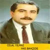 Yürü Yolcu