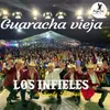 About Guaracha Vieja Song