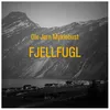 About Fjellfugl Song