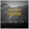 Fjellfugl