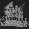 About Snakehold Song