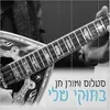 About בוזוקי שלי Song