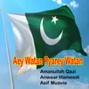 About Aey Watan Pyarey Watan Song