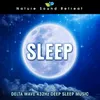 Relaxing Sleep - 432Hz Meditation