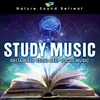 Stress Relief Music to Study