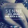 About Sex, Drugs and Rock & Roll Song