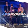 About Aprovecha Song