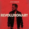 About Revolutionary Song