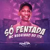 About Só Pentada Song