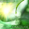 About Gratitude Song