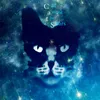 Cat Among the Stars