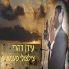 About צילצולי פעמונים Song