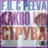 About Какво ми струва Song