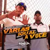 About Várias Igual a Você Song