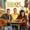 About Solidão de Amigos Song