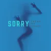 About Sorry-Comfort Class Remix Song