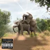 About SAFARI Song