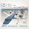 About Breeze Song