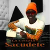 About Sacudete Song