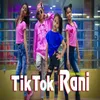 About Tik Tok Rani Song