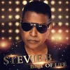All I Need is You (Stevie B Mix)
