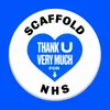 About Thank U Very Much For The NHS Song