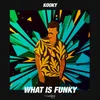 What is Funky-Extended Mix