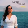 About Telaşa Song