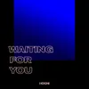 About Waiting for You Song
