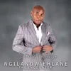 About Ngilandw' Ehlane (The Encounter) Song