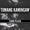 About Tumang Kamingaw Song