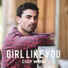 About Girl Like You Song