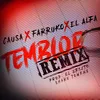 Temblor-Remix
