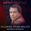 About Kaluware Pipuna Malata Song