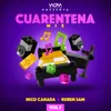 About Cuarentena Mix-Vol. 5 Song