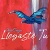 About Llegaste Tu Song