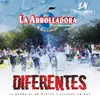 About Diferentes-En Vivo Song
