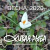 About Весна 2020 Song