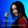 About Senin Annen Arı'Mı/Ölem Ben Song