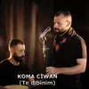 About Te Dıbinim Song