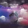 About Sorry Song