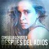 About Después del Adiós-Acústico Song