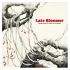About Late Bloomer Song