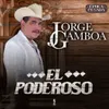 About El Poderoso-Banda Song