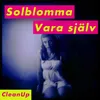 Vara själv - Cleanup